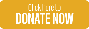 Orange rectangular button that reads "Click here to donate now".